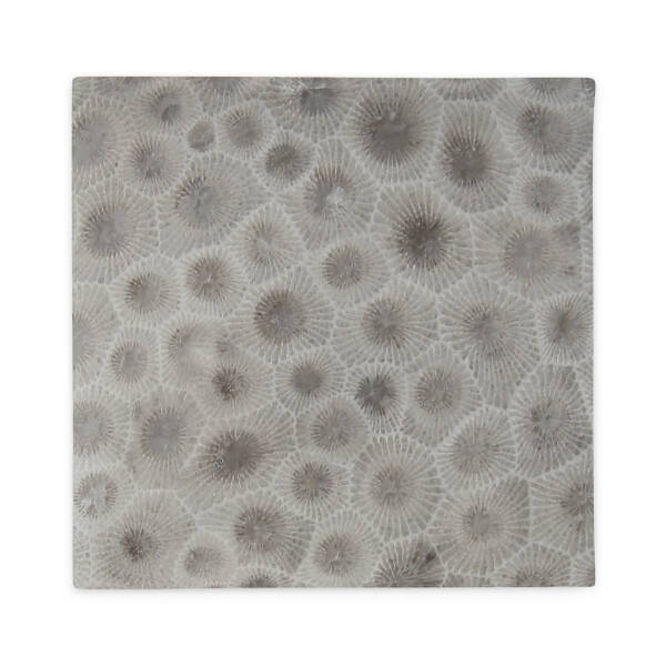 Petoskey Stone Pillow Case - Image 6