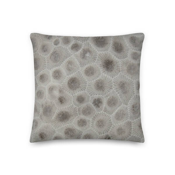 Petoskey Stone Pillow - Image 3